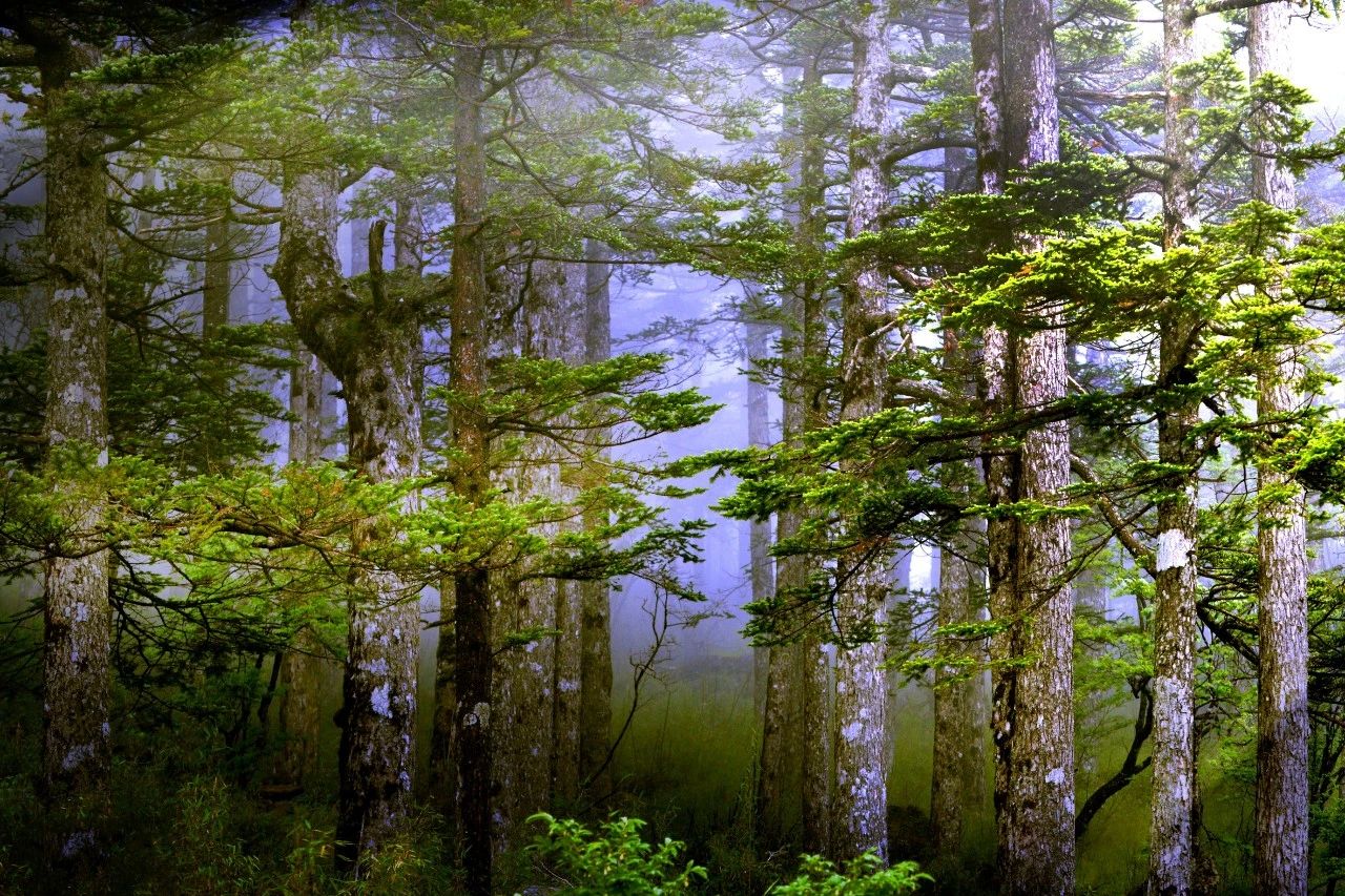 微信圖片_20250619085454