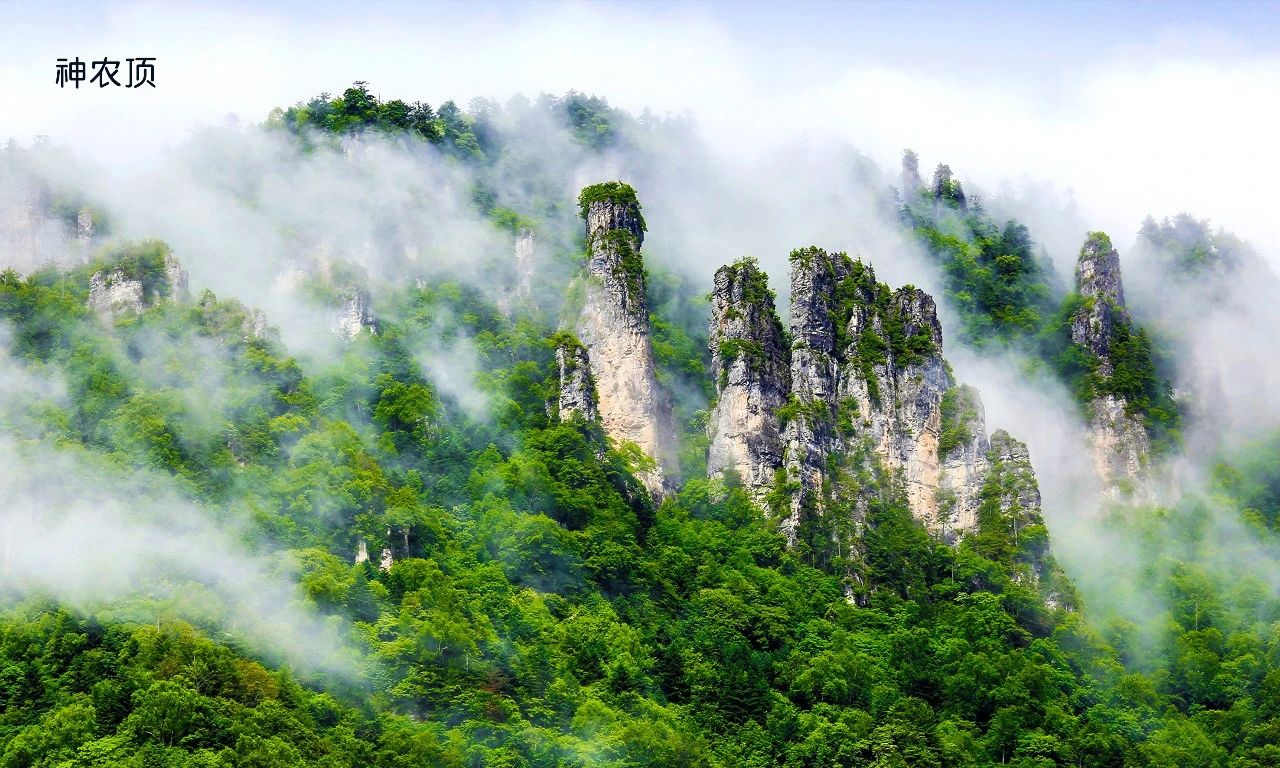 微信圖片_20250619085622