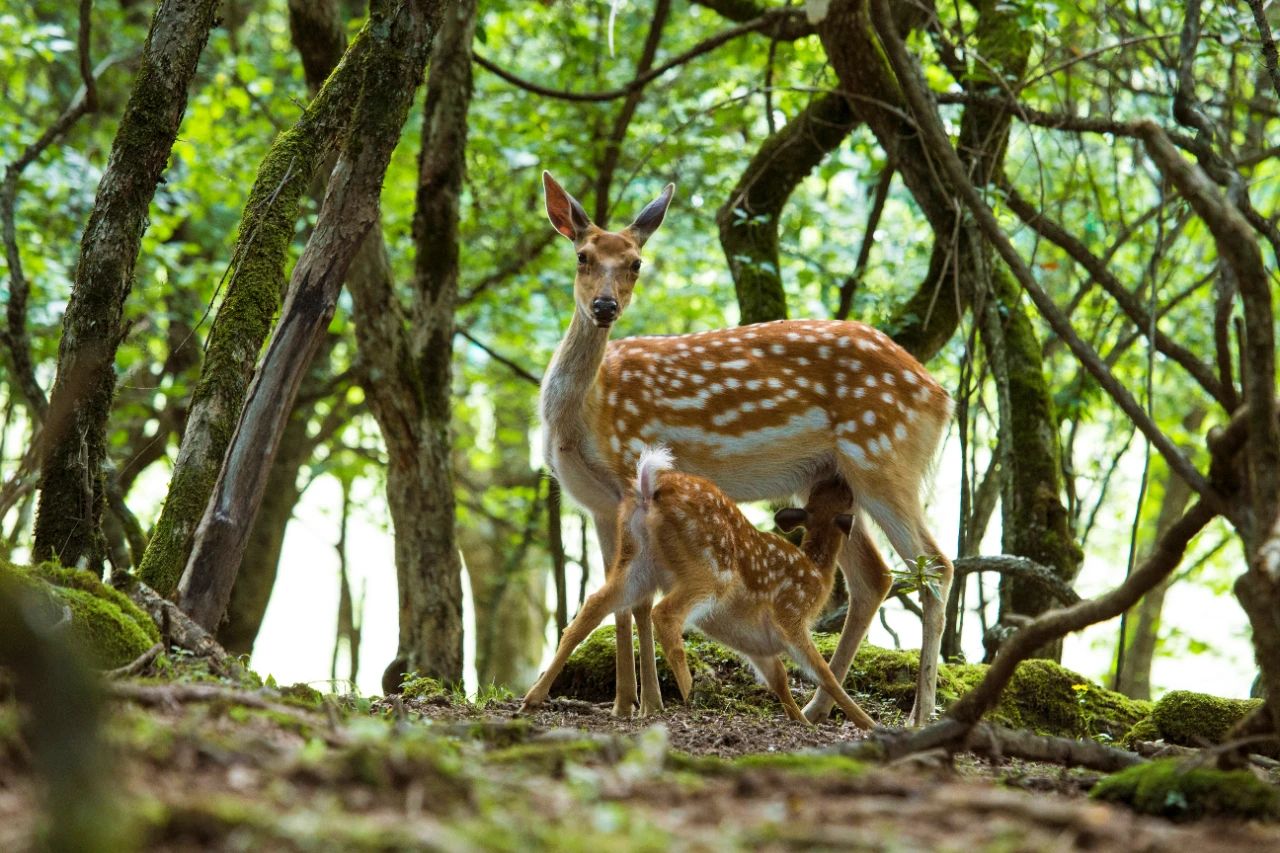 微信圖片_20250619085902