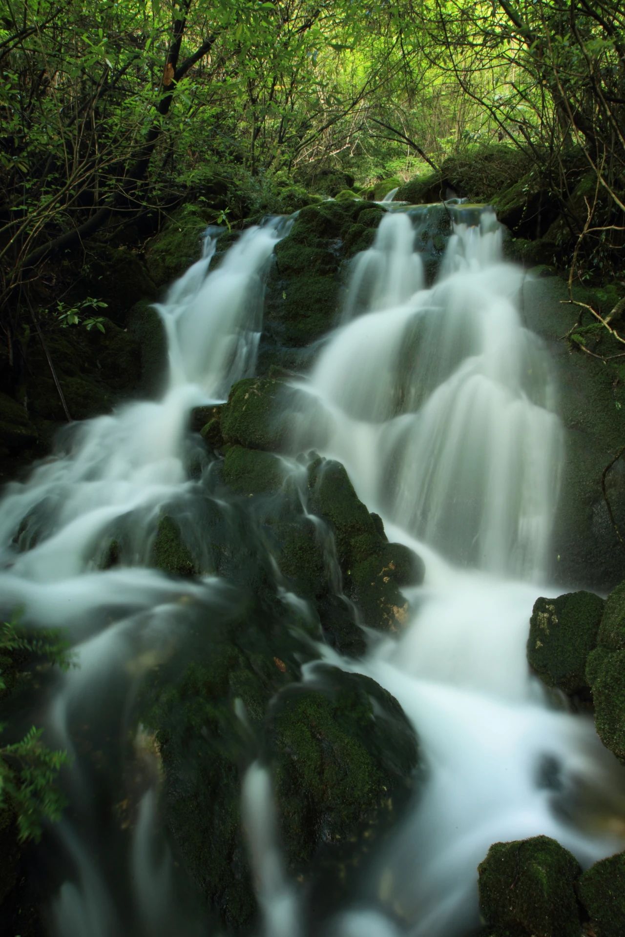 微信圖片_20250619085940