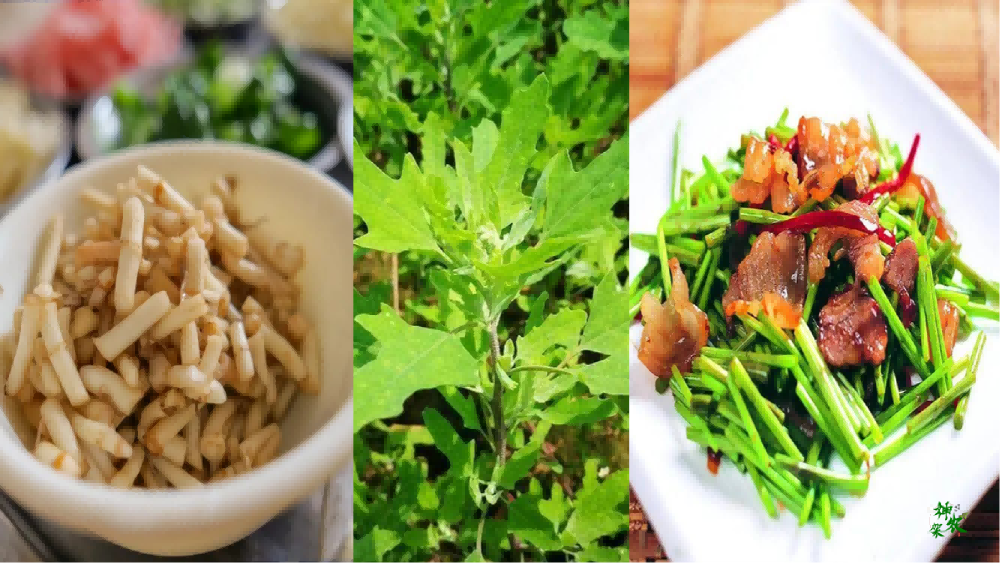 微信圖片_20250619090430