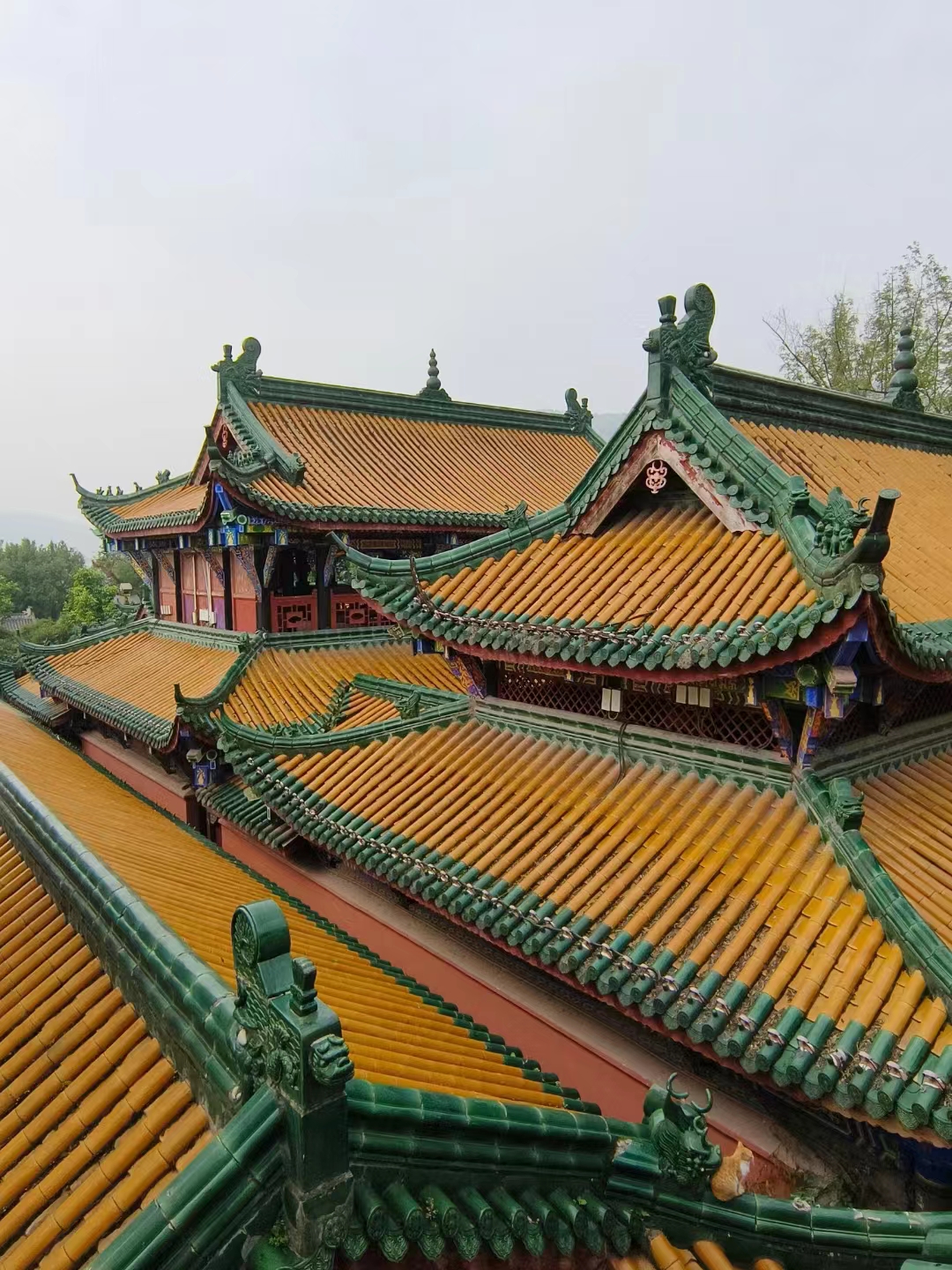 微信圖片_20250307092936