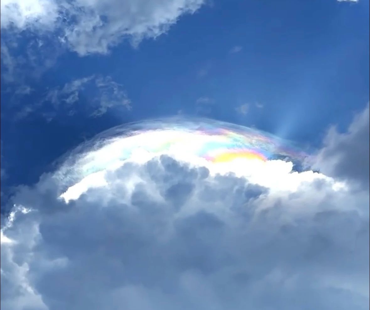 微信圖片_20250704091154