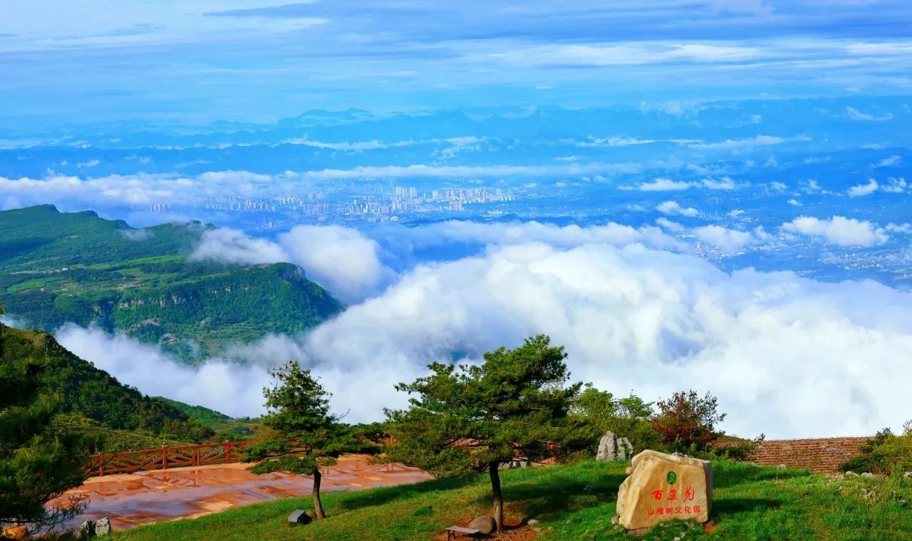 微信圖片_20250704091201