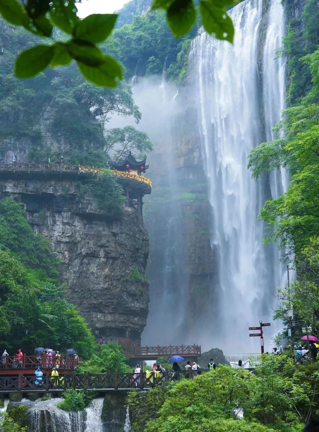 微信圖片_20250709090359