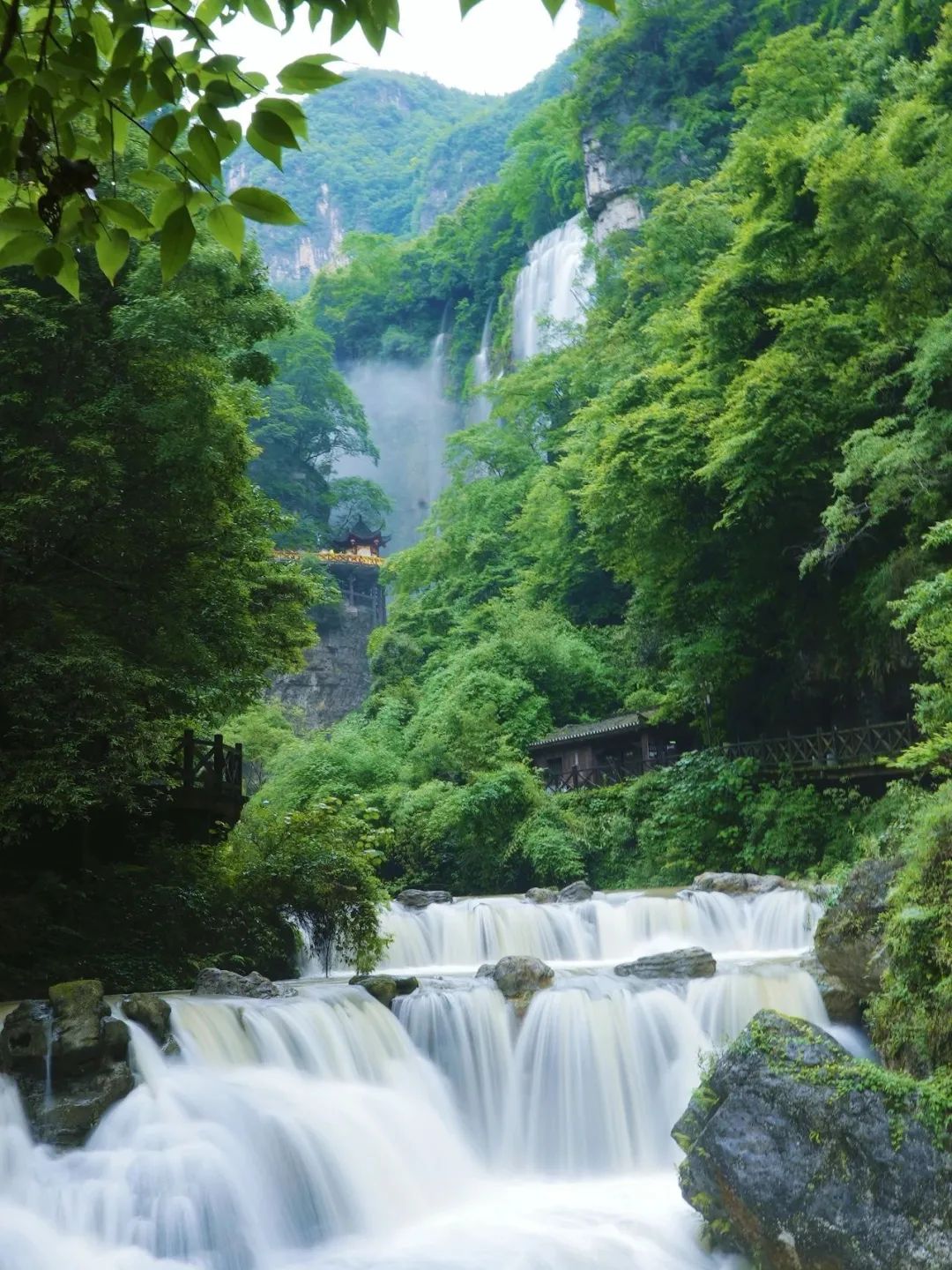 微信圖片_20250709090405