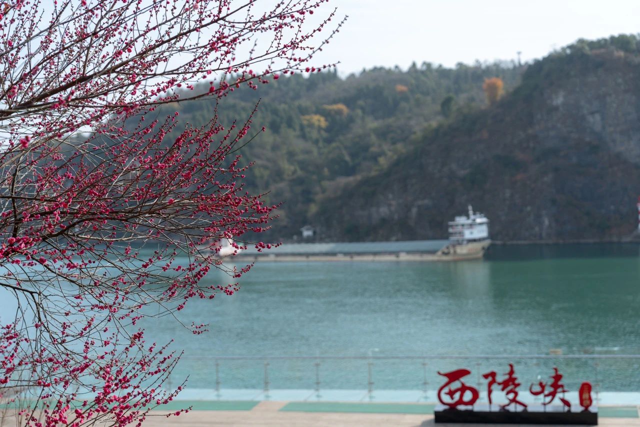 微信圖片_20250328103928