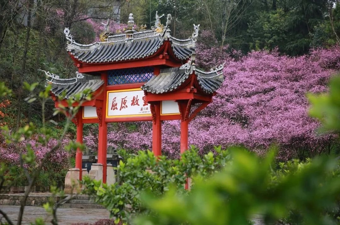 微信圖片_20250712092815