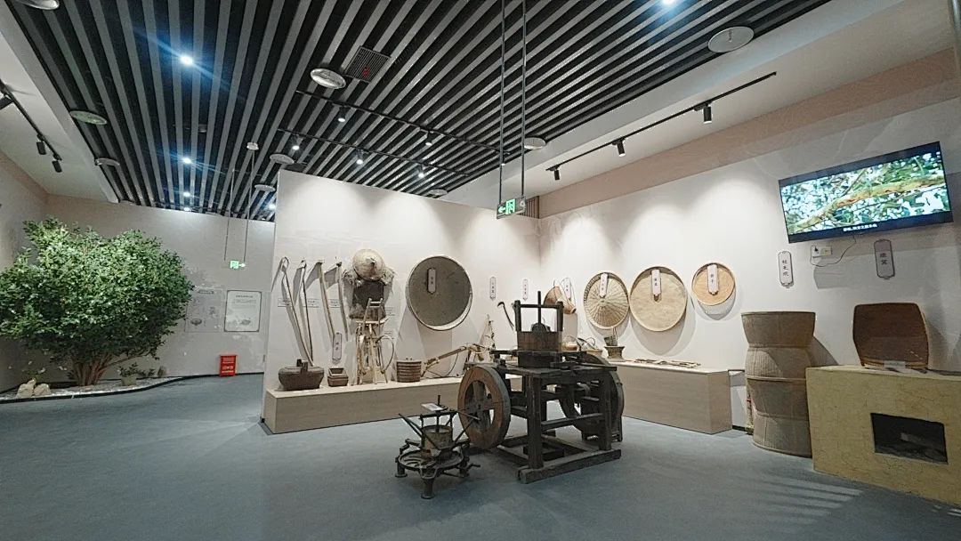 微信圖片_20250715090152