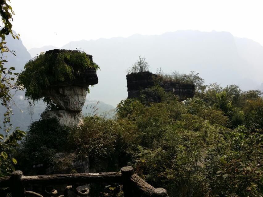 QQ圖片20021015093721