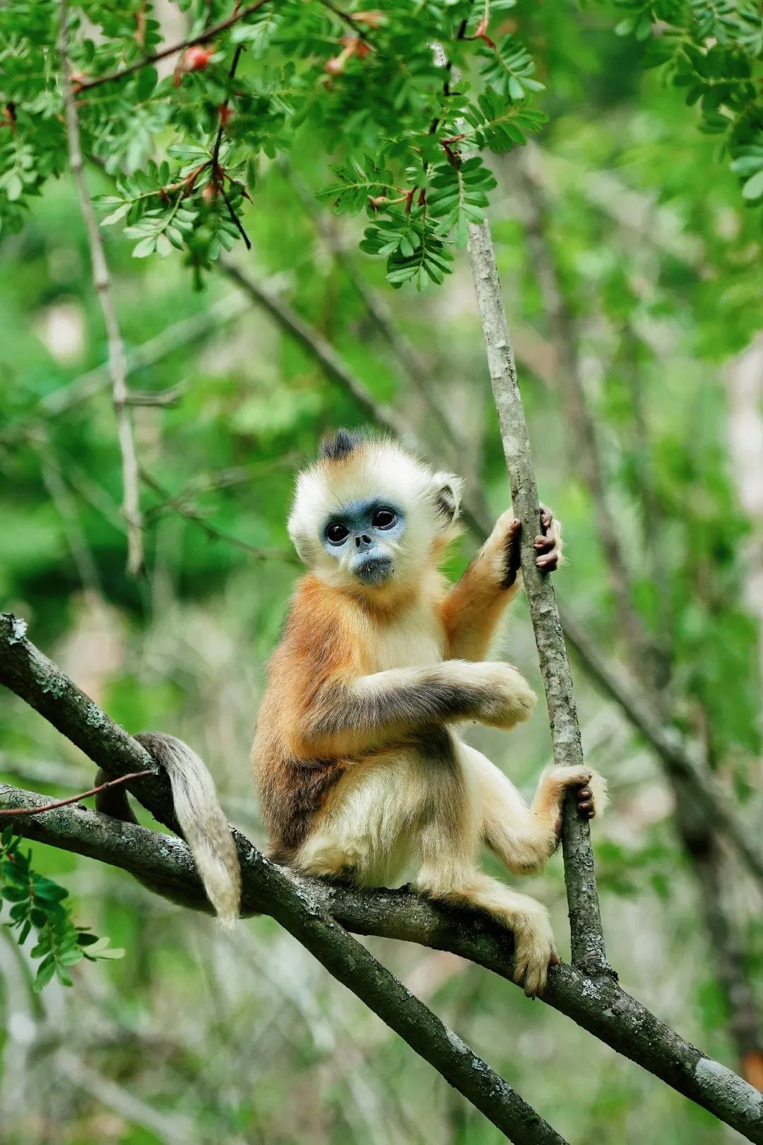 微信圖片_20250717091746