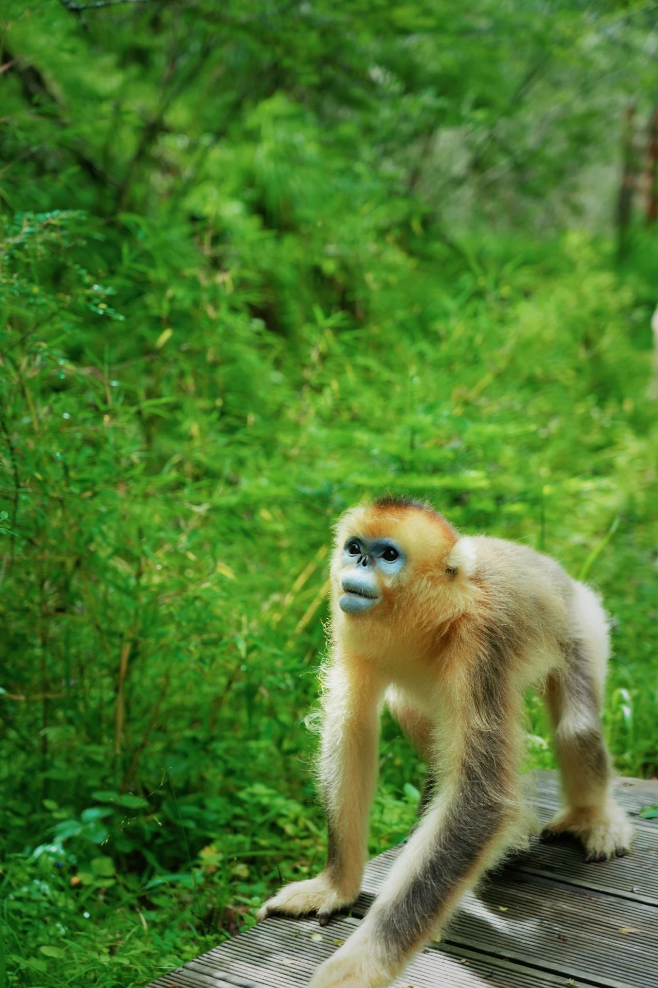 微信圖片_20250717091815