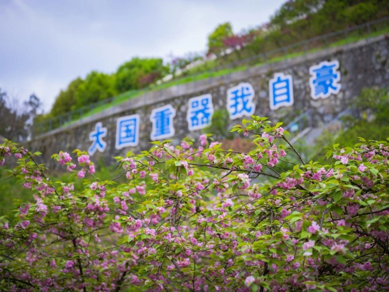 微信圖片_20240425163344_副本