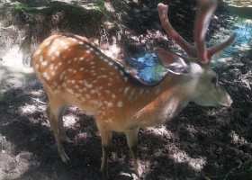 神農架三天兩晚行程安排，費用不含哪些？省錢必看