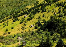 神農架三日游2025年【標準版】景點介紹，出發時間，必備清單一覽表