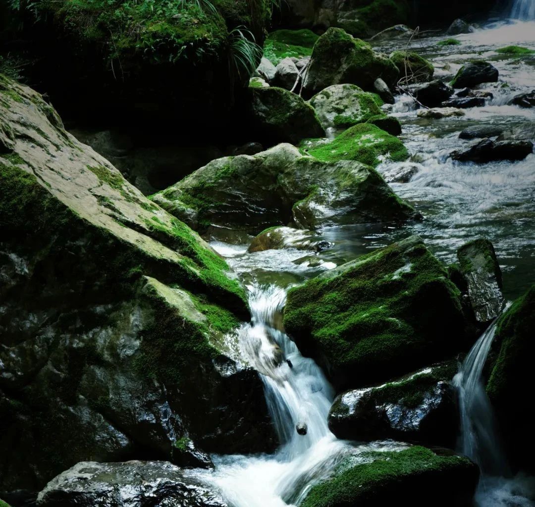 微信圖片_2025-08-01_092528_151