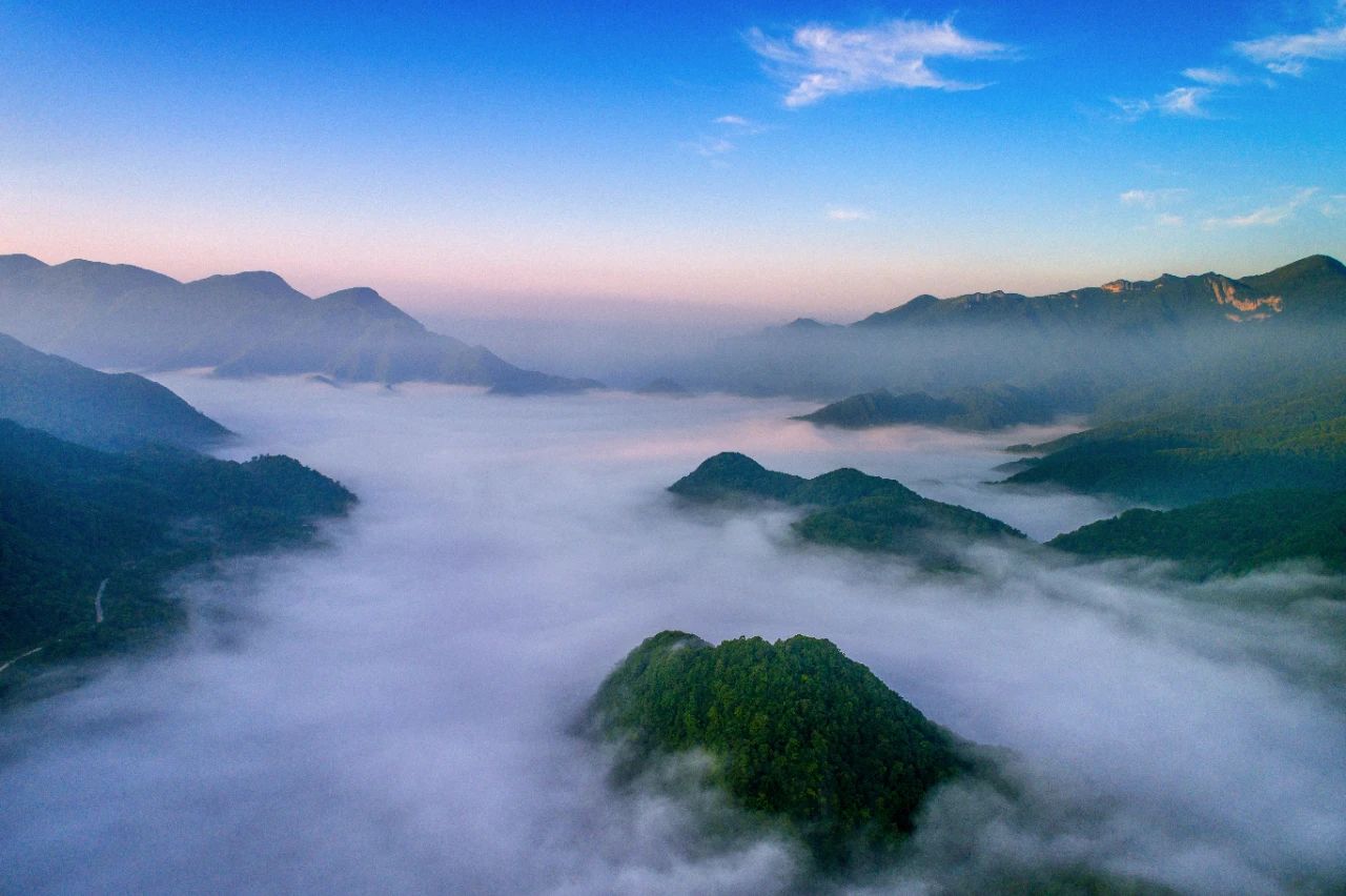 微信圖片_2025-08-01_092634_273