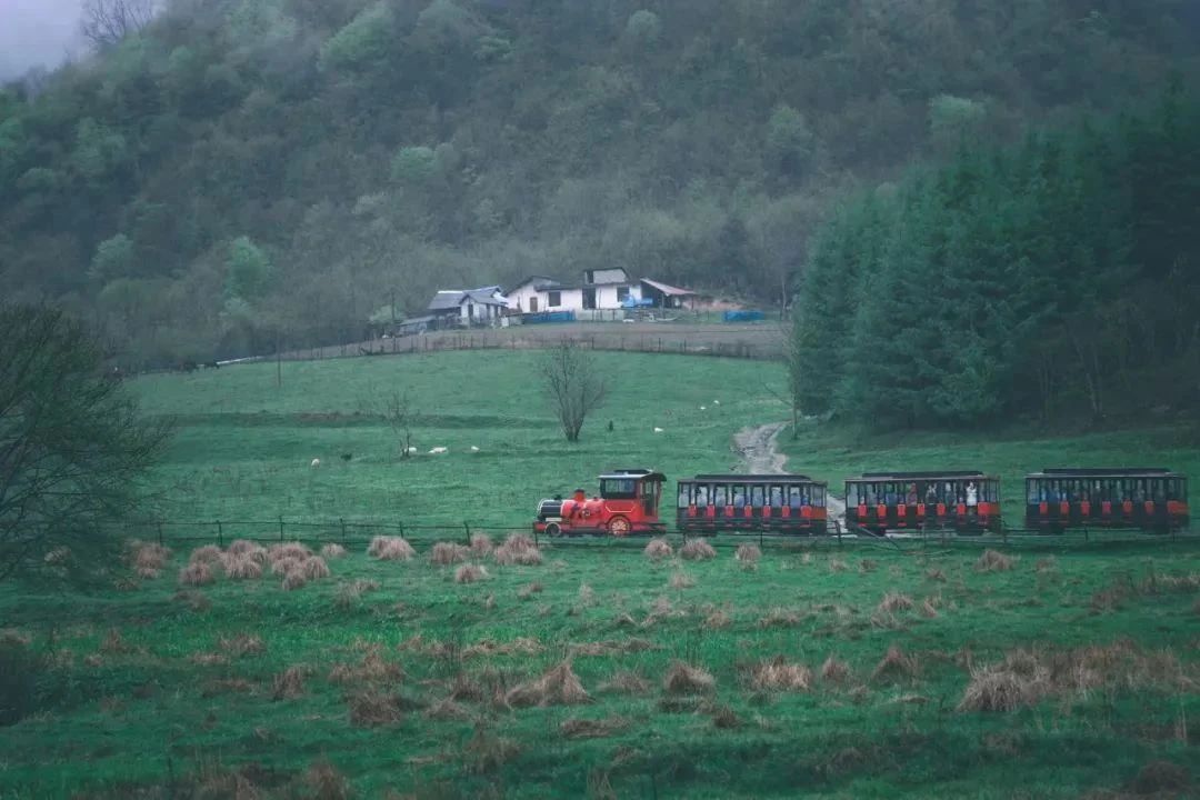 微信圖片_2025-08-01_092735_840