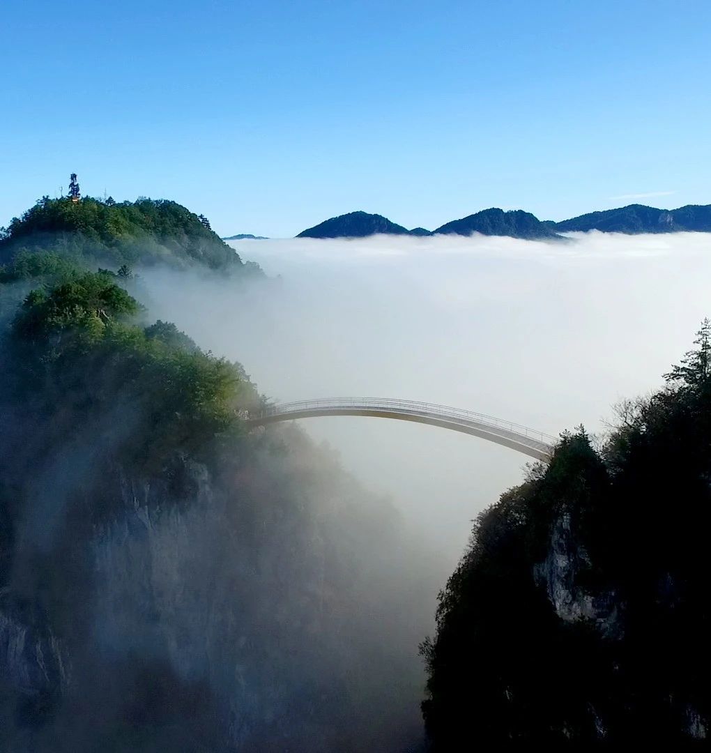 微信圖片_2025-08-01_093014_703