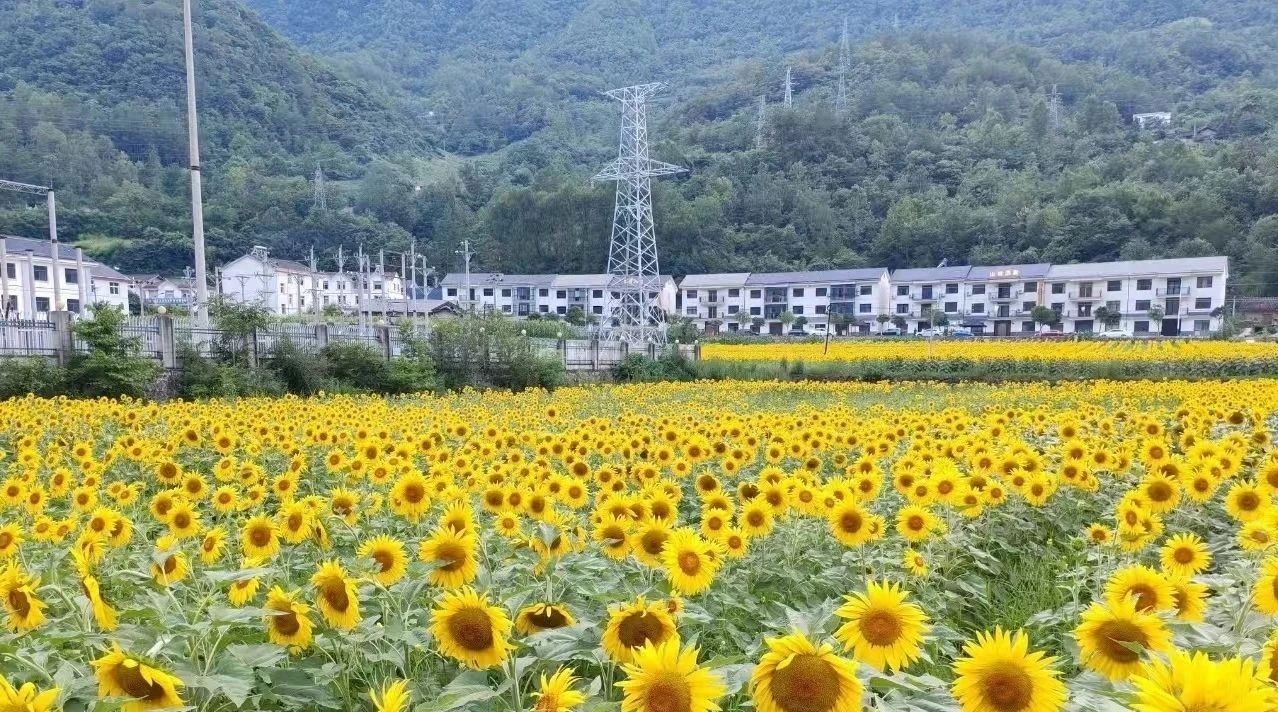 微信圖片_2025-08-01_093341_888