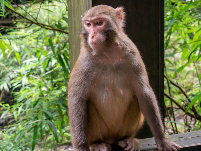 300q0l000000cz4qi9CAC_副本