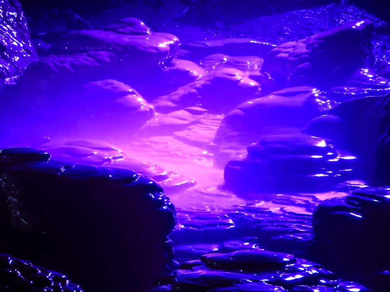 IMG_9864( 攝影:蔡濤 2018年4月25日攝)(1)_副本