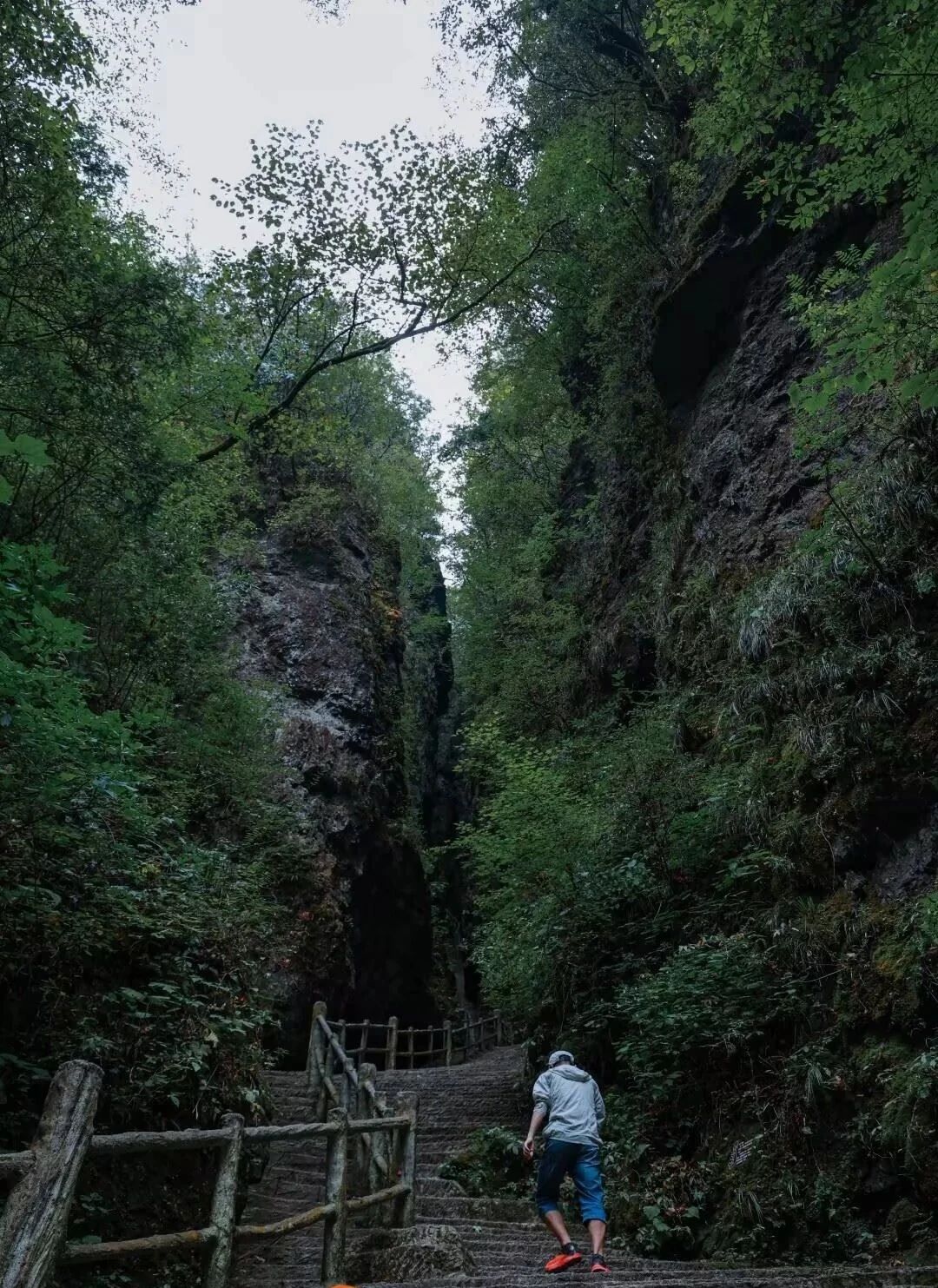 微信圖片_2025-08-09_092054_757