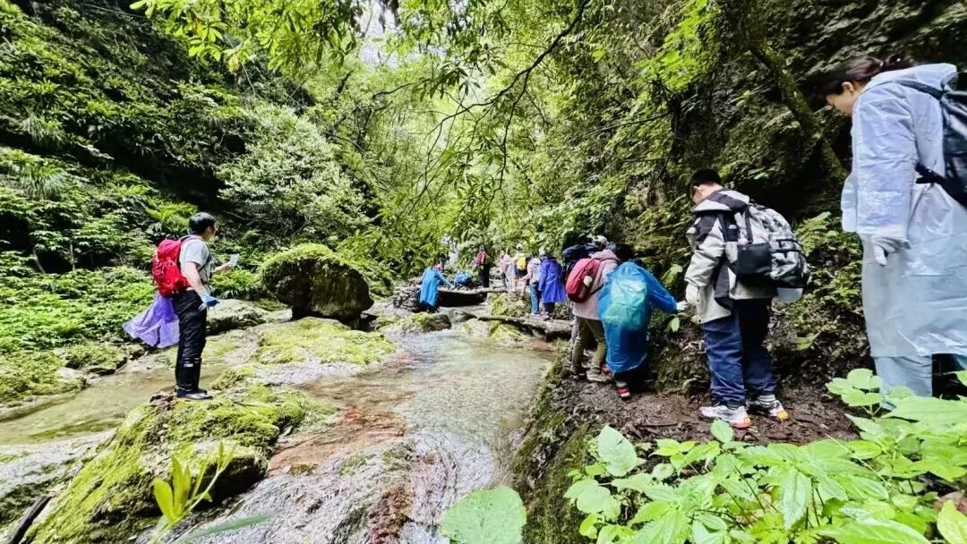 微信圖片_2025-08-09_092257_069