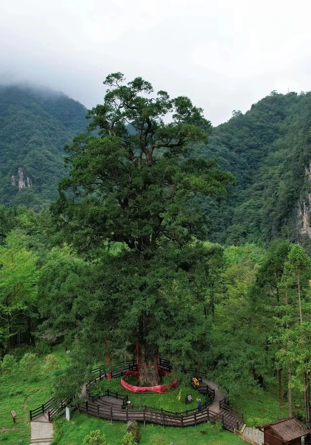 微信圖片_2025-08-09_092346_341