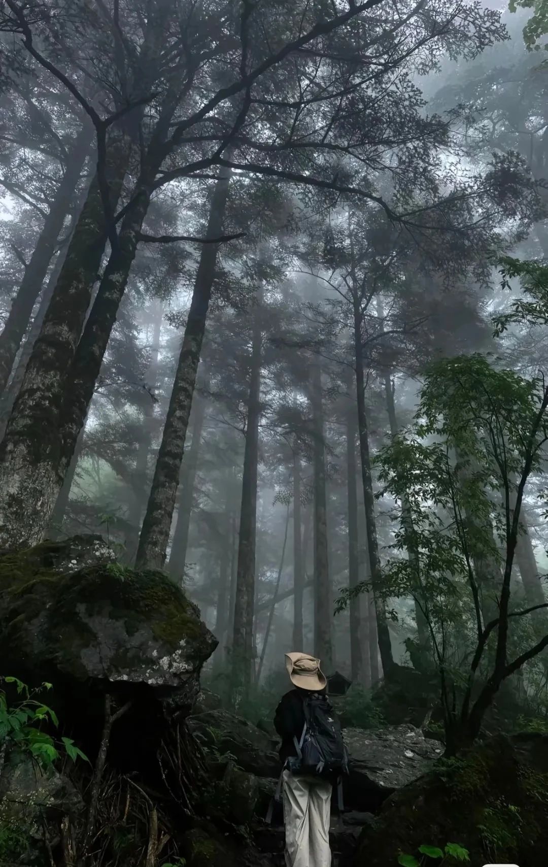 微信圖片_2025-08-09_092505_868