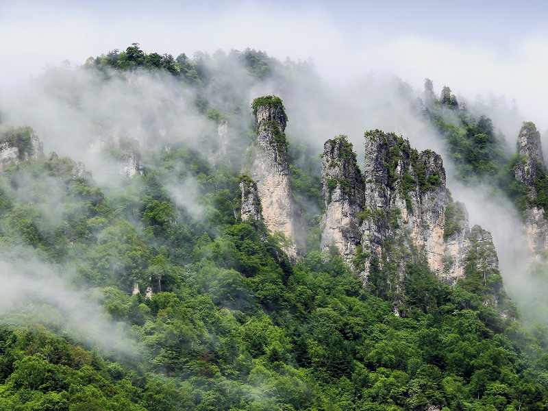 姜軍－ (6)_副本