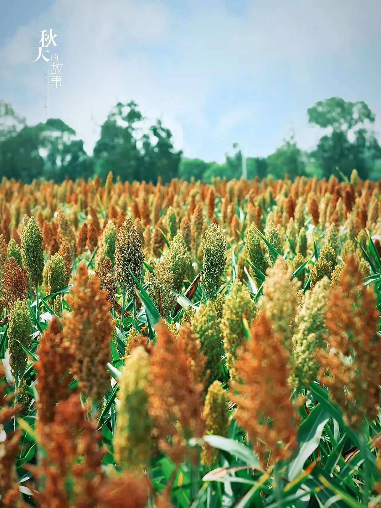 微信圖片_2025-09-18_090343_182