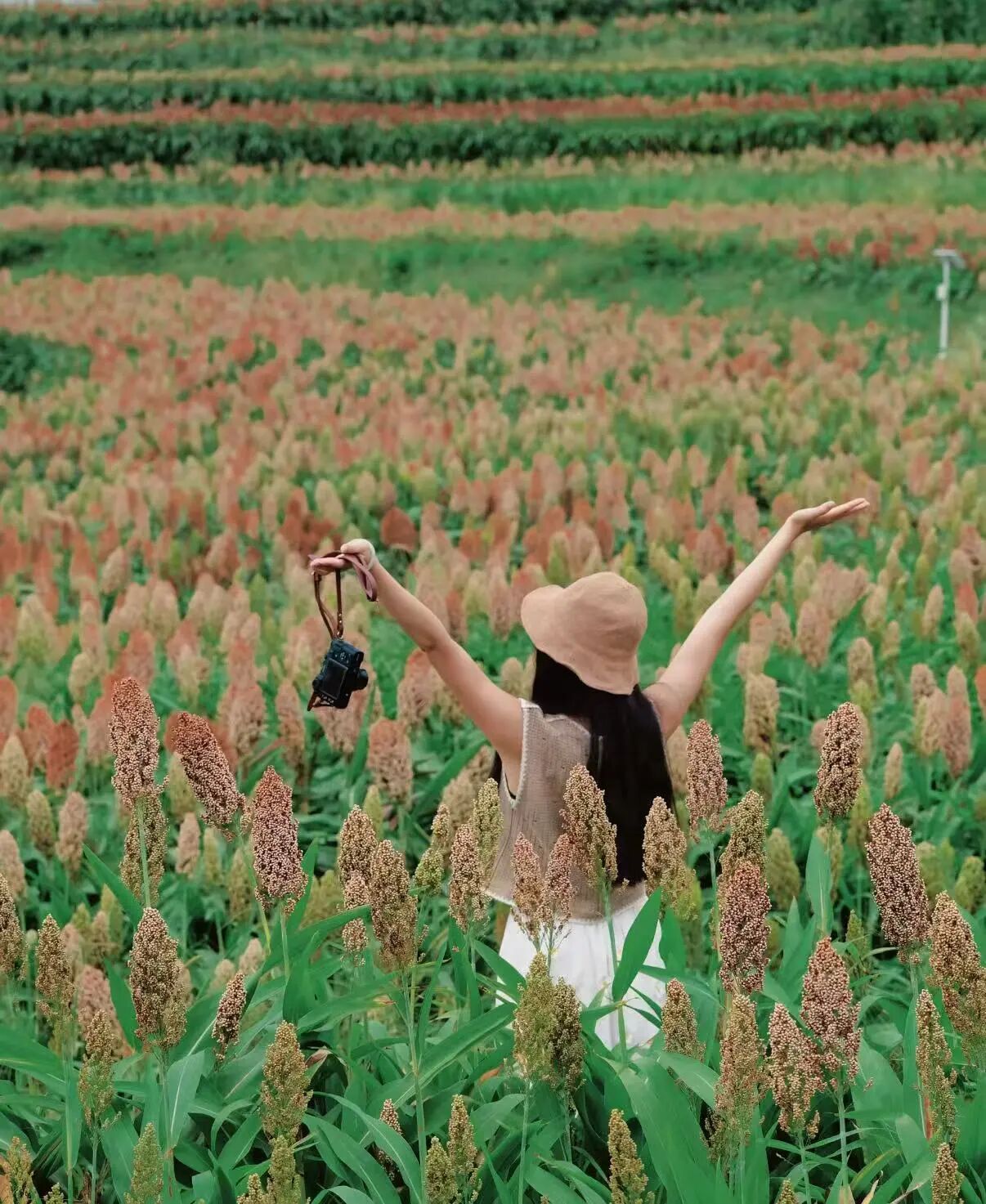 微信圖片_2025-09-18_090452_887