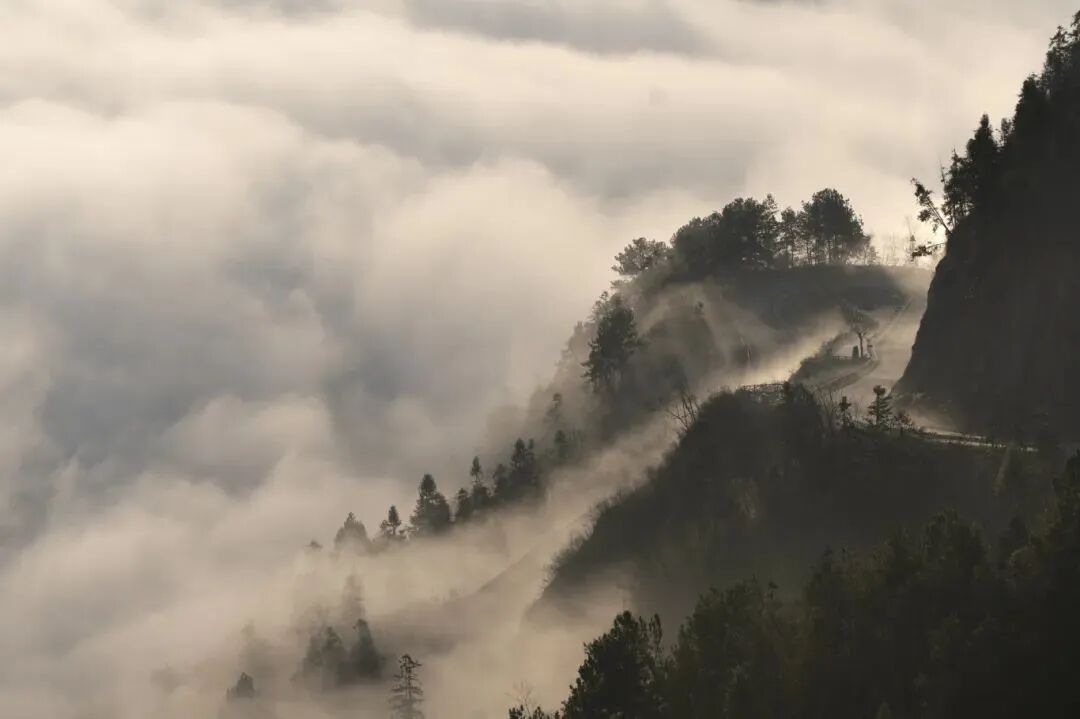 微信圖片_2025-09-25_093000_301