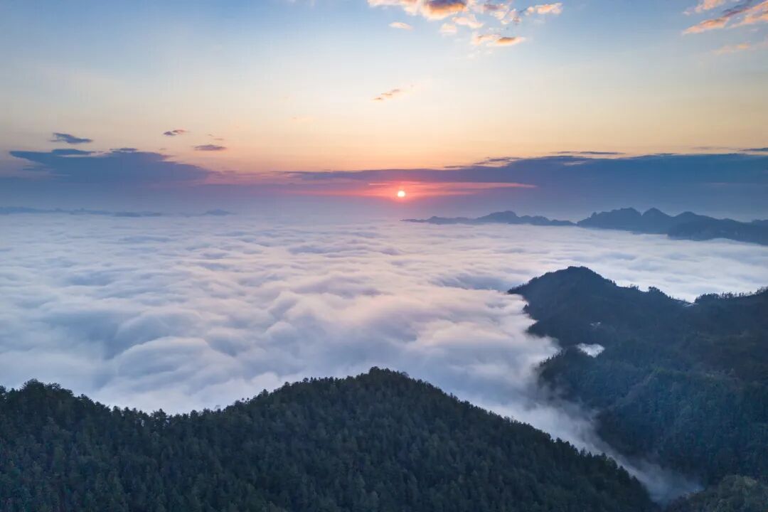 微信圖片_2025-09-25_093157_799