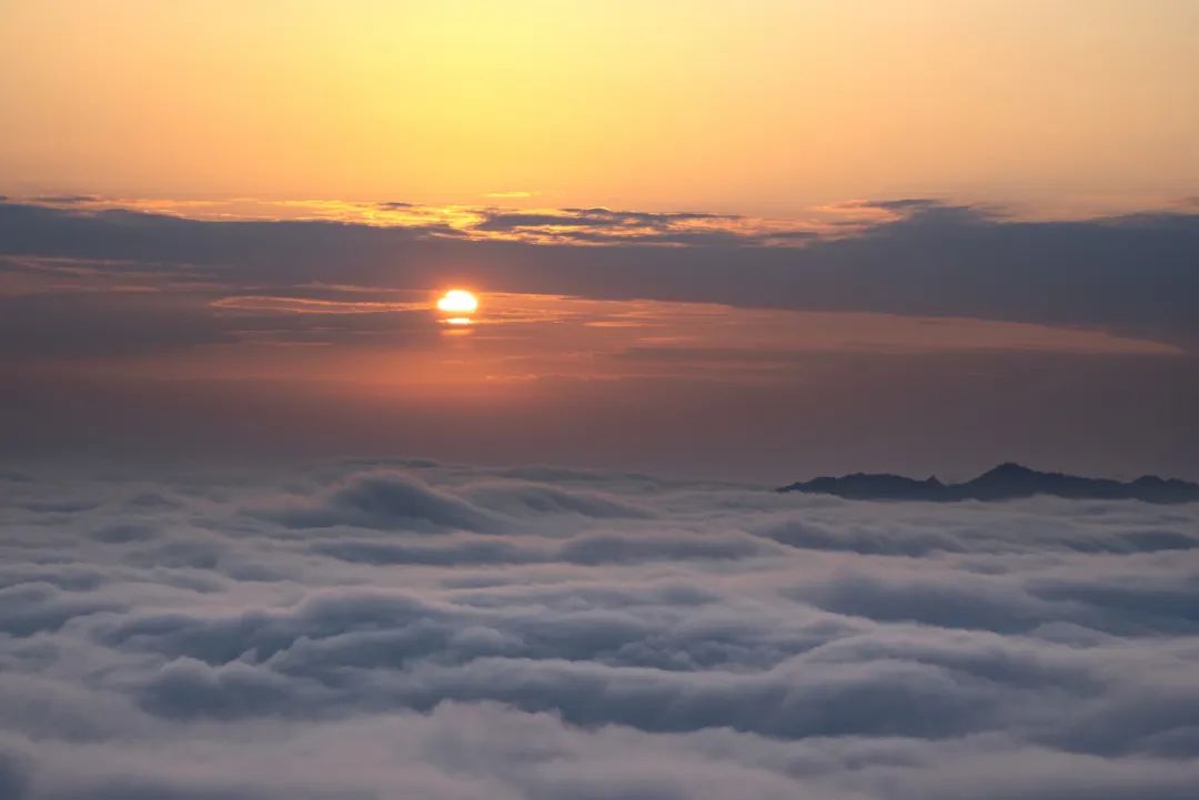 微信圖片_2025-09-25_093201_857