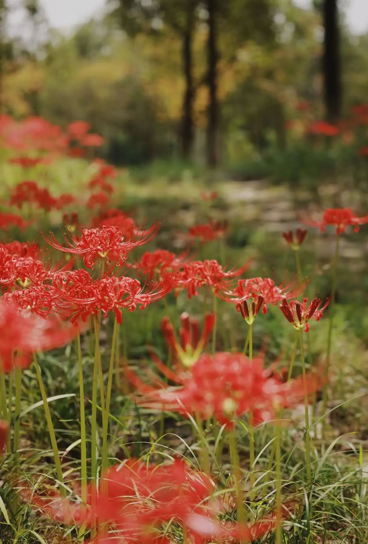 微信圖片_2025-10-02_090658_749