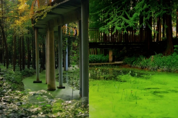 宜昌賞秋醉佳去處——巨出片的四個小眾寶藏地