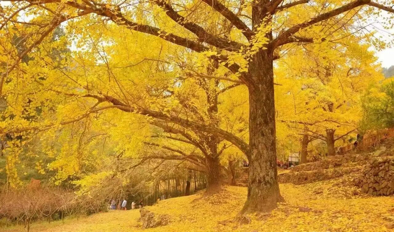 微信圖片_2025-10-14_095331_385