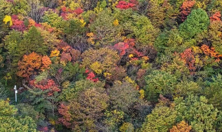 微信圖片_2025-10-14_095443_807