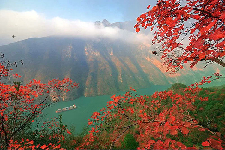 68ca79a3ly4g7uqlm80w6j20m80etacn_副本