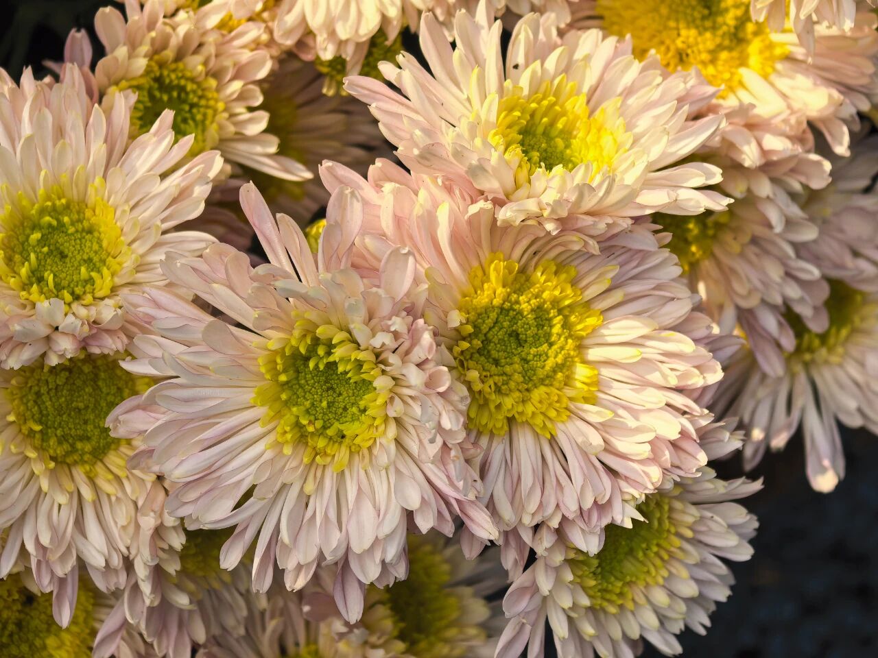 微信圖片_2025-11-13_092618_120