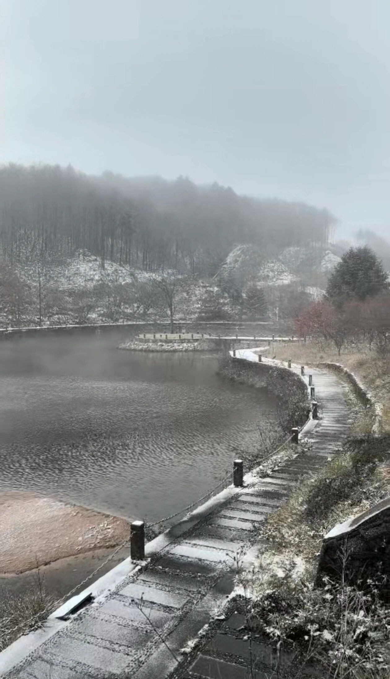 微信圖片_2025-11-17_163133_339