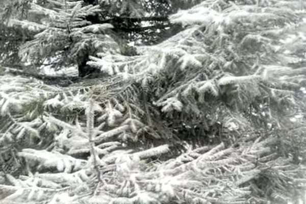 宜昌迎來(lái)2025年冬季初雪，未來(lái)幾天宜昌天氣如何？