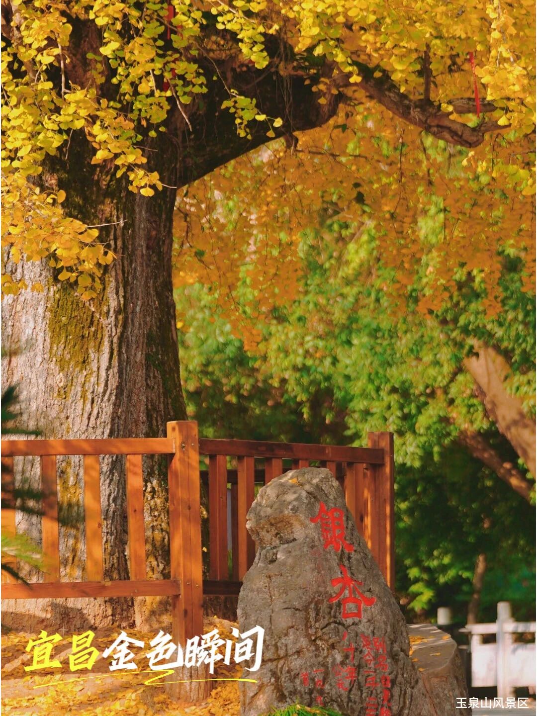 微信圖片_2025-11-20_092453_593