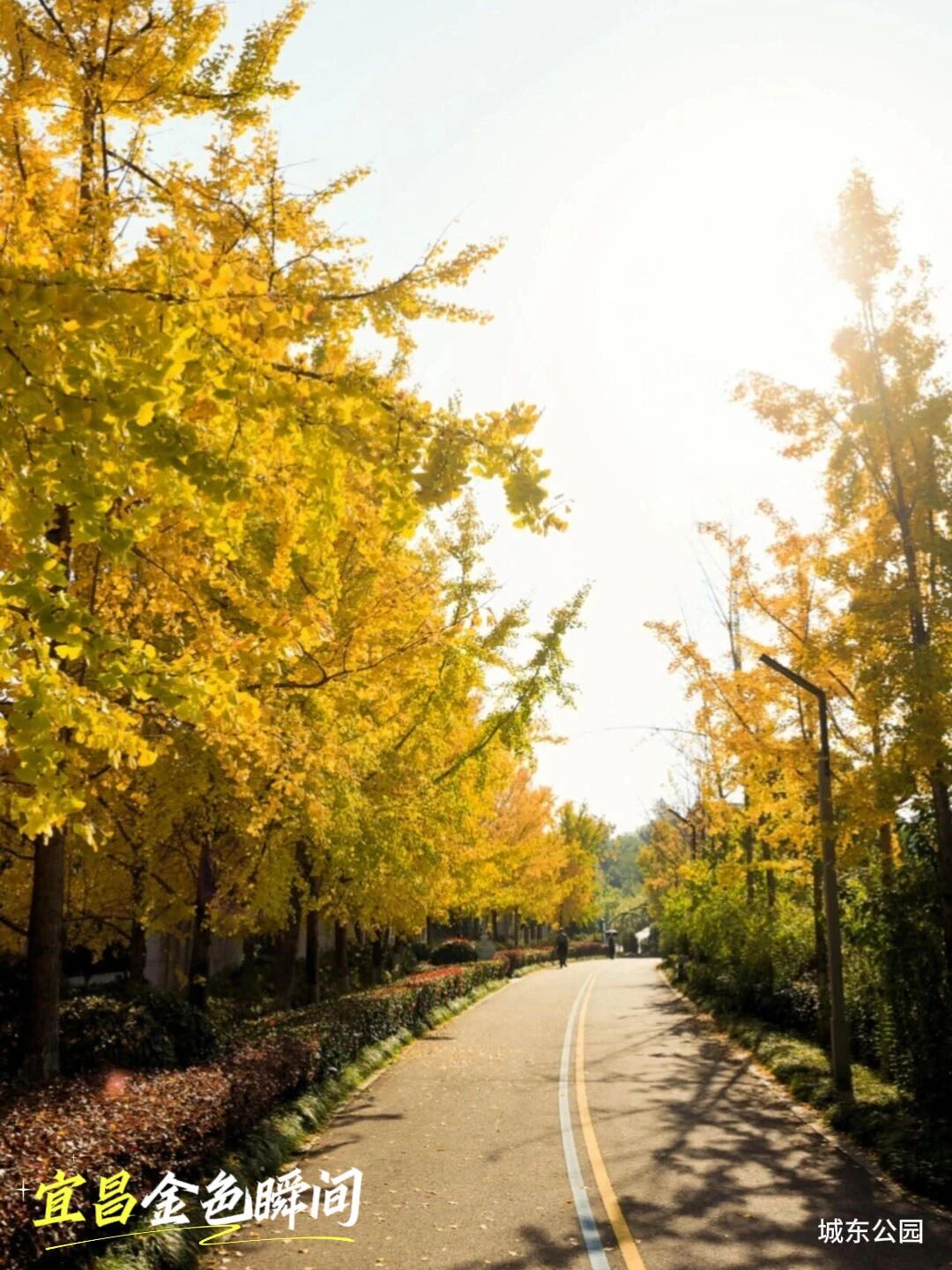 微信圖片_2025-11-20_092522_608