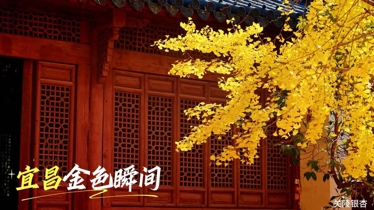 微信圖片_2025-11-20_092525_880