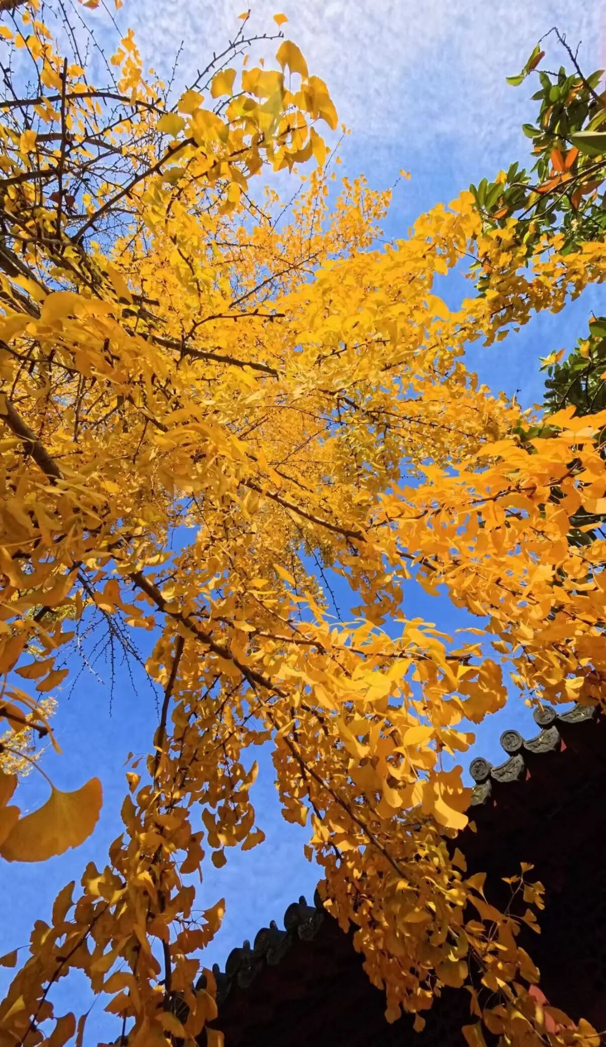 微信圖片_2025-11-28_092628_518