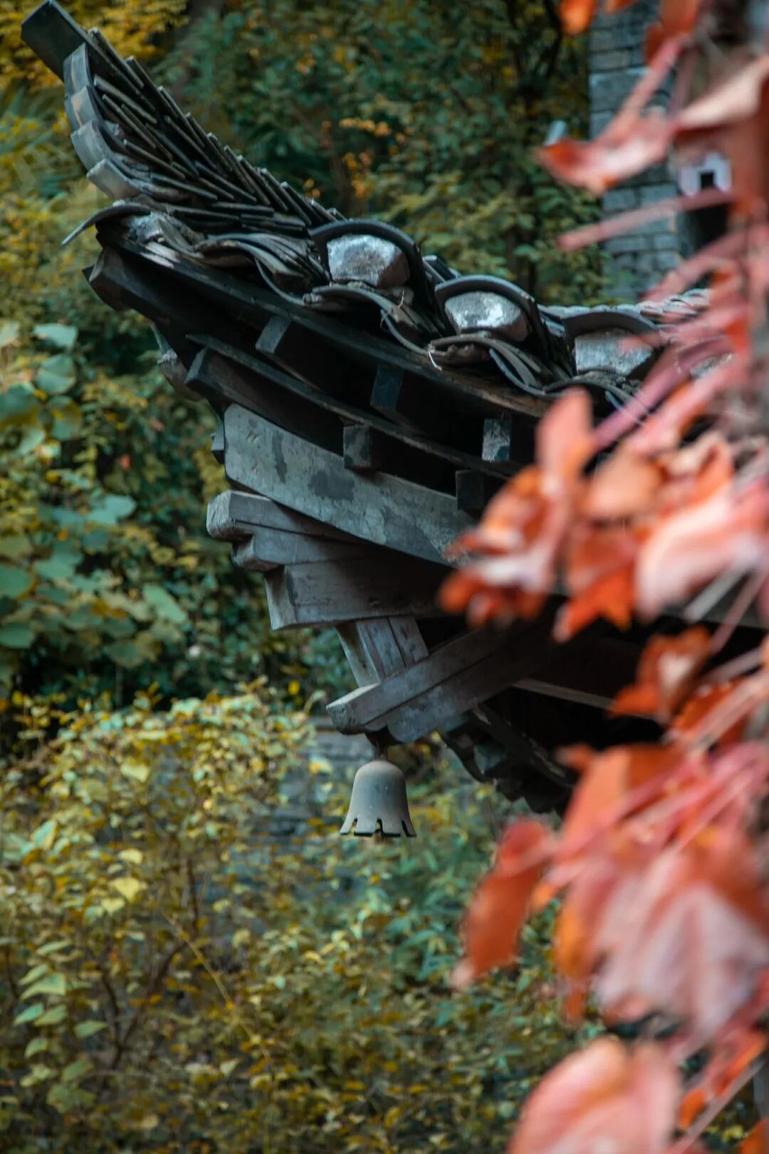 微信圖片_2025-11-28_092731_310