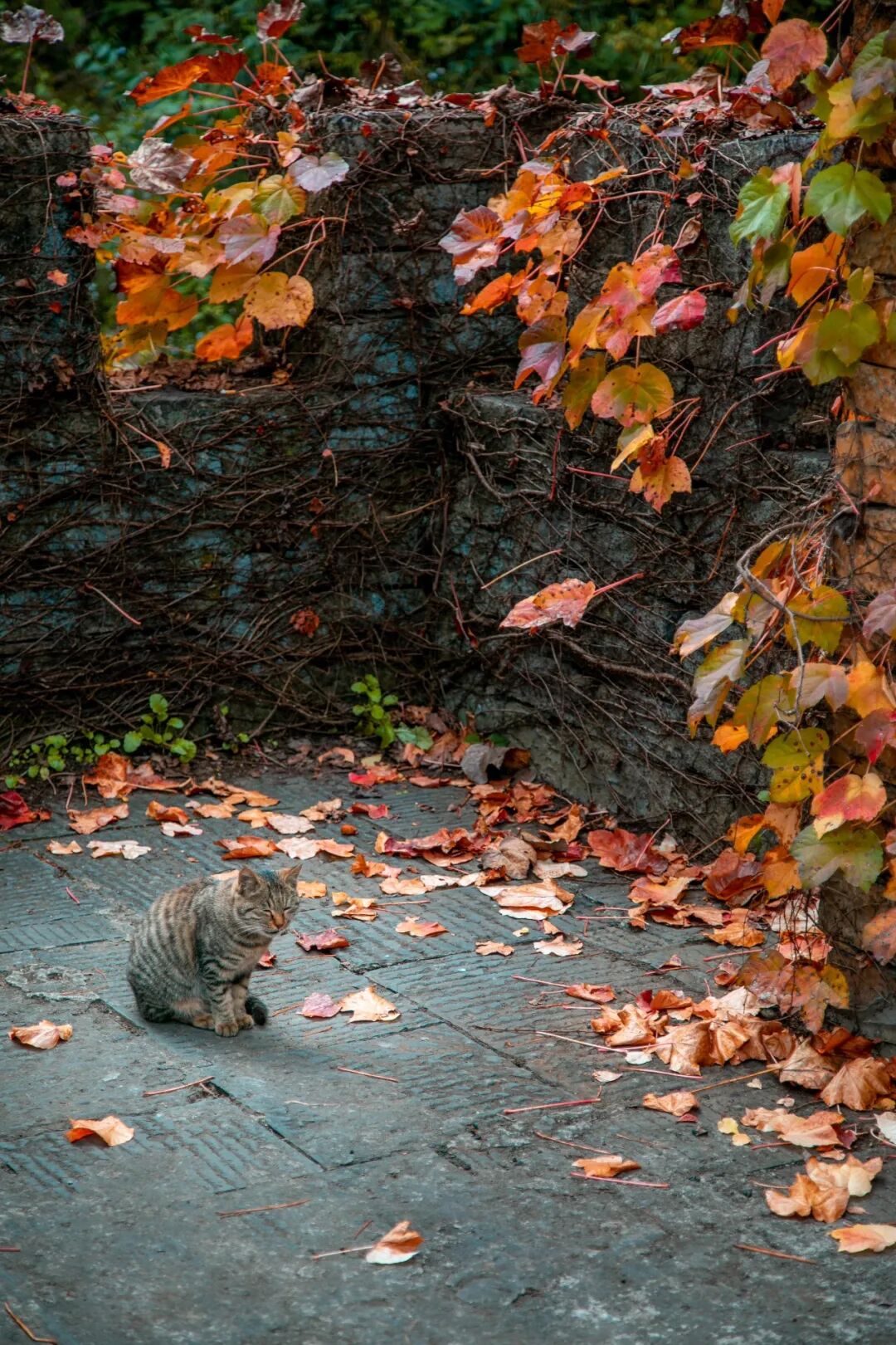 微信圖片_2025-11-28_092748_823